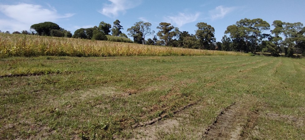 CAMPO APTO INVERNACULO Y SIEMBRA