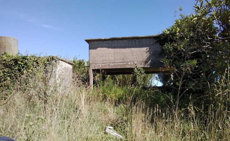 CAMPO APTO INVERNACULO Y SIEMBRA