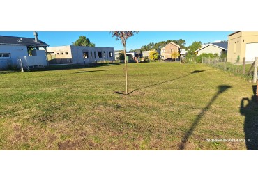 LOTE EN RUMENCO JOVEN